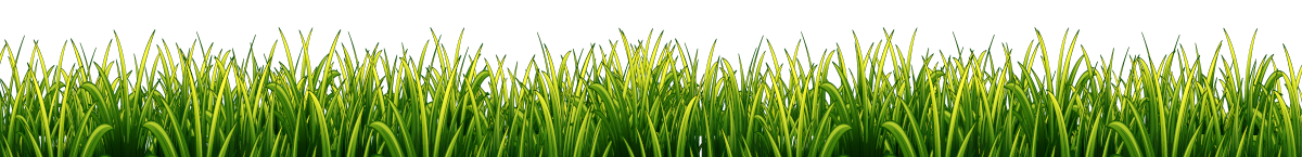 grass background